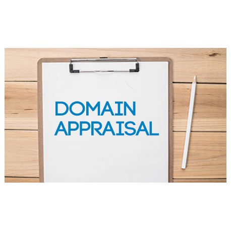 Domain Appraisals (1 Domain)